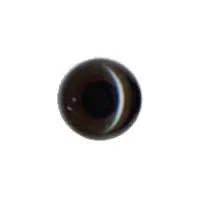 Competition Eye, 7mm Dark Brown