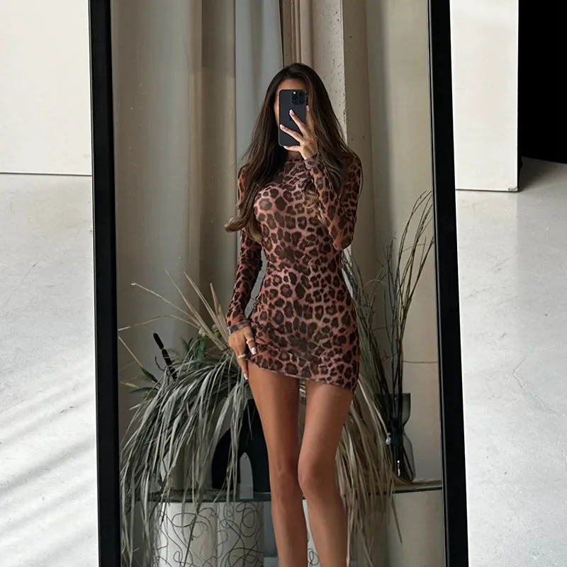 Eveline Leopard Print Long Sleeve Dress