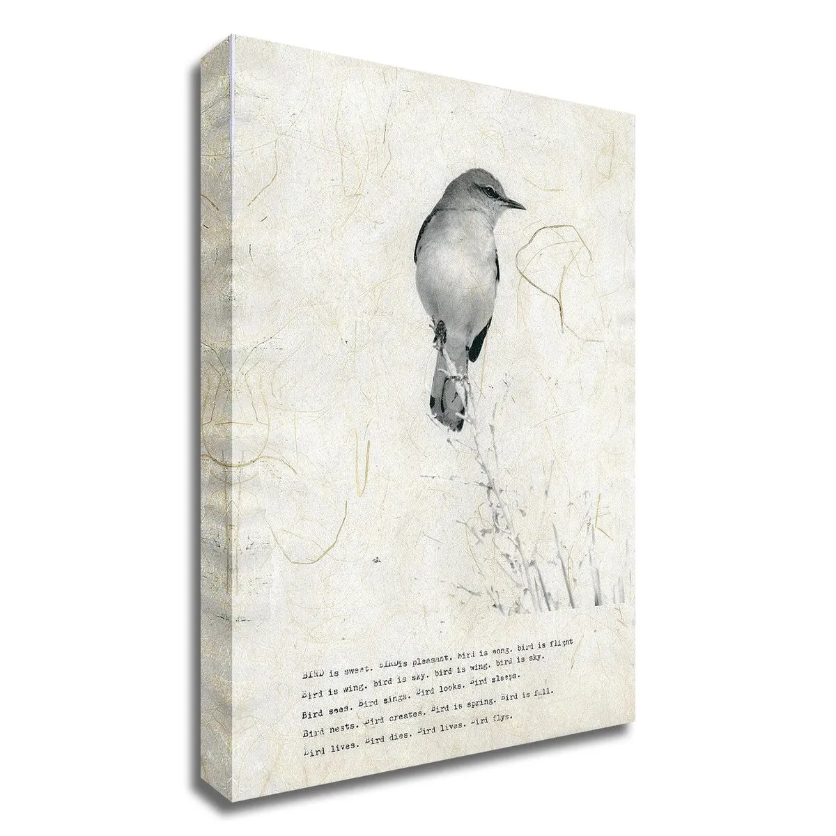 "Bird Is Sweet" Wrapped Canvas Print Wall Art