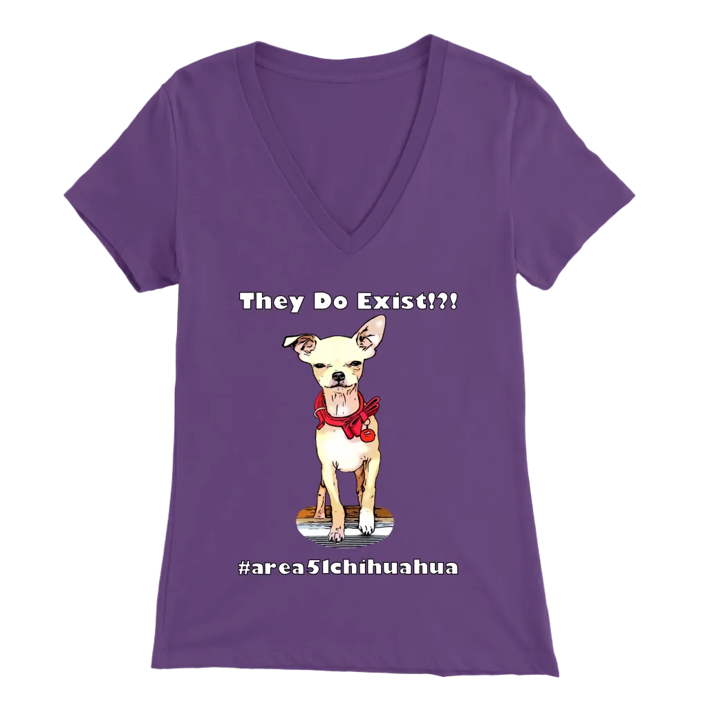 Women's Bella V-Neck T-Shirt (Additional Colors Available)