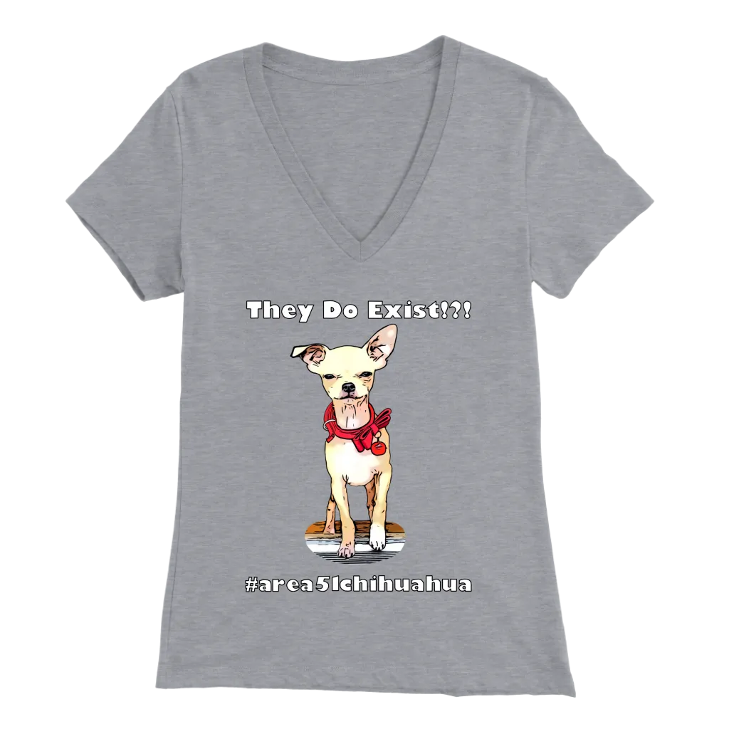 Women's Bella V-Neck T-Shirt (Additional Colors Available)