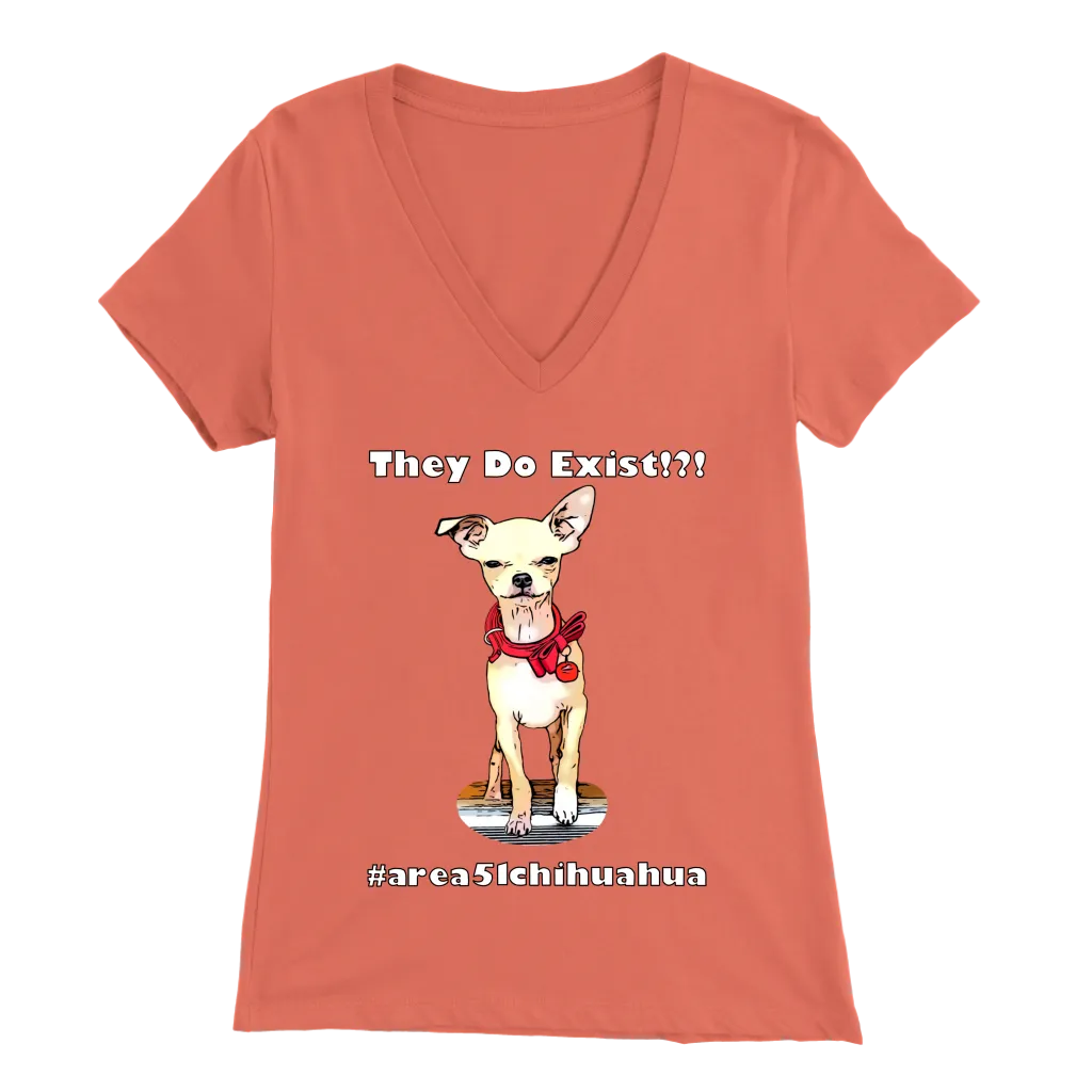 Women's Bella V-Neck T-Shirt (Additional Colors Available)