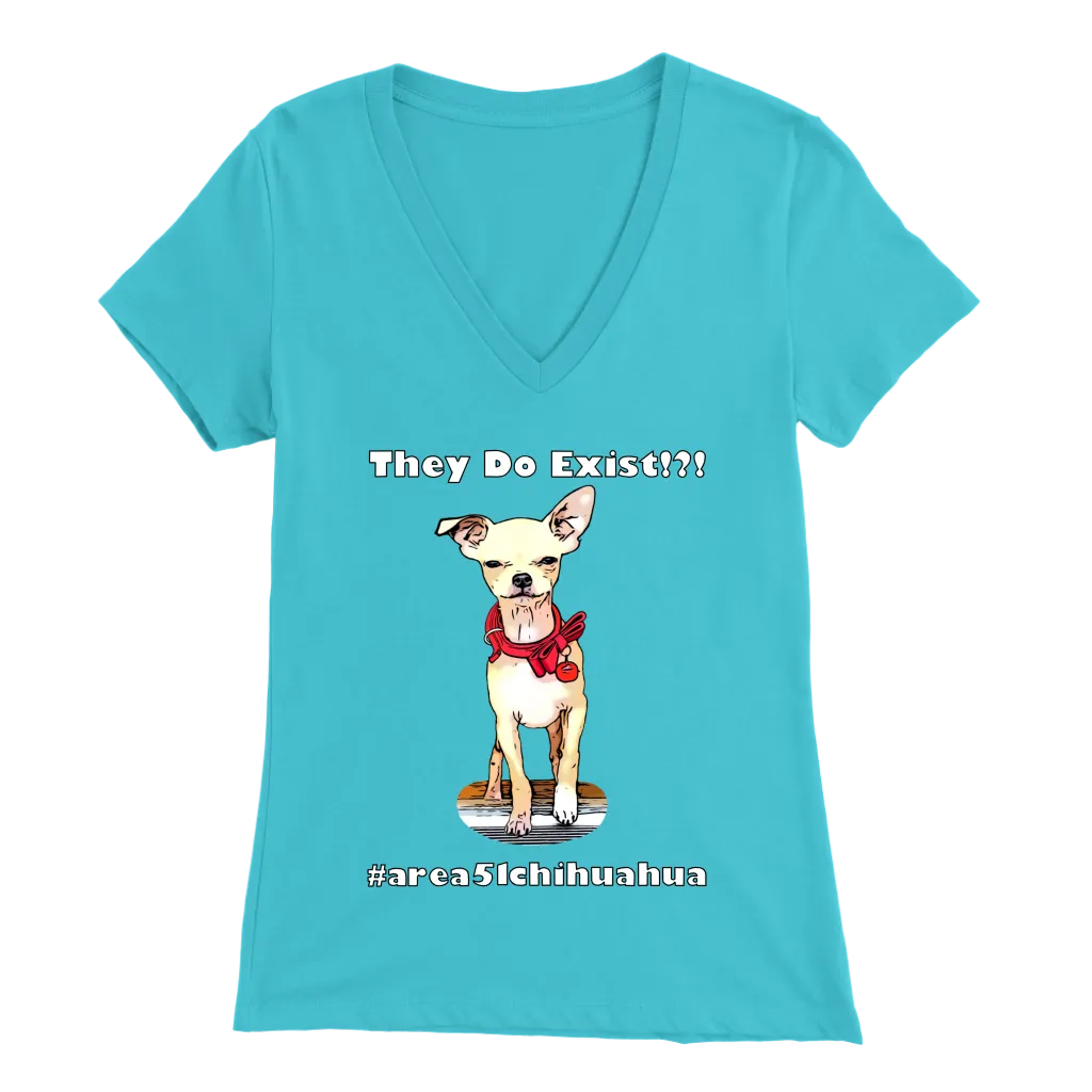 Women's Bella V-Neck T-Shirt (Additional Colors Available)